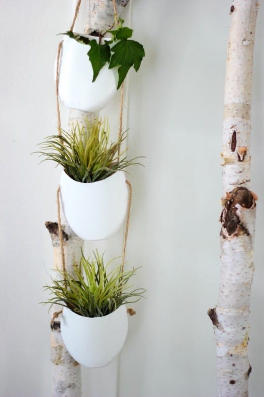 DIY,Pet Şişeden Saksı Yapılışı 2