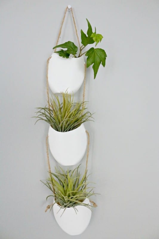 DIY,Pet Şişeden Saksı Yapılışı 8