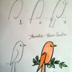 Evde Hayvan Resmi Nasıl Çizilir ? 80