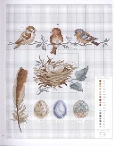 Etamin Şablonları Kuş Desenleri 96