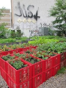Plastik Kasadan Neler Yapılır? - Resim 34