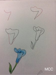 19+ Adım Adım Kolay Çiçek Çizme - Adım Adım Kolay Çiçek Çizme 11
