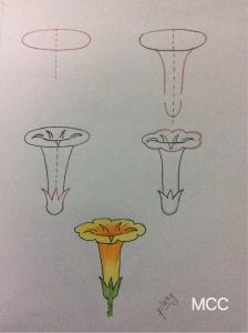 19+ Adım Adım Kolay Çiçek Çizme - Adım Adım Kolay Çiçek Çizme 1