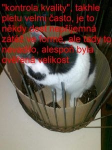 Gazeteden Kedi Evi Yapımı - Resim 11