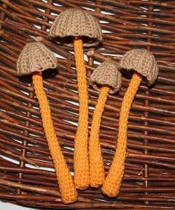Amigurumi Sebze Modelleri - Resim 17
