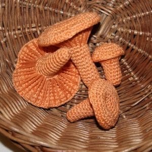 Amigurumi Sebze Modelleri - Resim 31