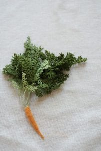 Amigurumi Sebze Modelleri - Resim 8