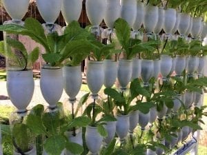Pratik Bahçe Tasarımları ve Bahçe Dekorasyon Örnekleri 16