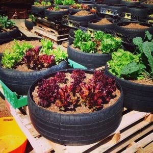 Pratik Bahçe Tasarımları ve Bahçe Dekorasyon Örnekleri 33