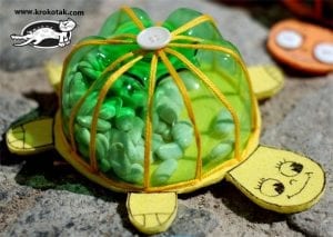 Sanat Etkinliği Kaplumbağa Yapımı 5