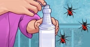 Evdeki Örümceklerden Kimyasal Olmadan Kurtulmanın 10 Yolu