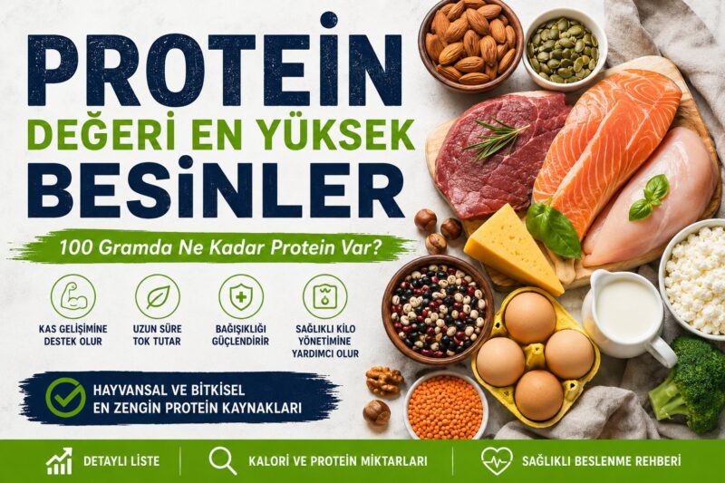 Protein Değeri Yüksek Besinler 2