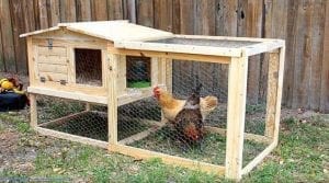Değişik Kümes Modelleri - DIY - Resim 10