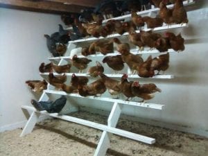 Değişik Kümes Modelleri - DIY - Resim 14
