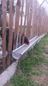 Değişik Kümes Modelleri - DIY - Resim 21