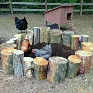 Değişik Kümes Modelleri - DIY - Resim 30