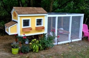 Değişik Kümes Modelleri - DIY - Resim 37