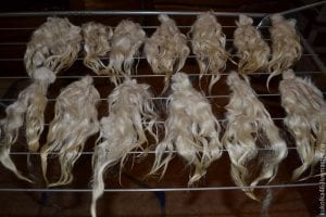 Keçi Yününden Oyuncak Bebek Saçı Yapımı 6