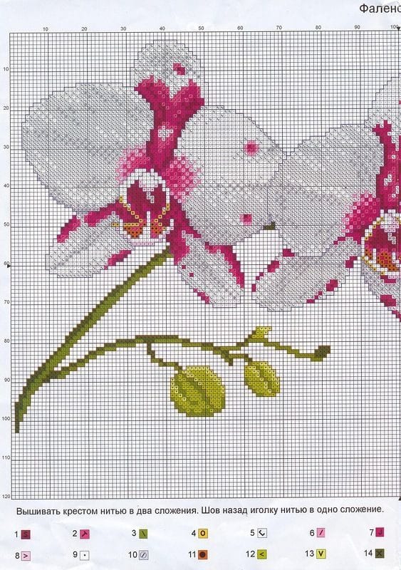 Kanaviçe Orkide Şablonları 22