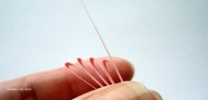 Quilling Sanatı Kolay - Resim 15