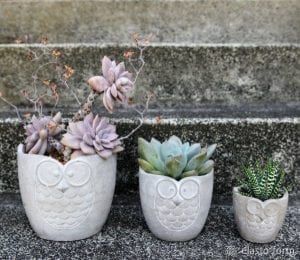 Beton Saksı Kalıbı Nasıl Yapılır? - Resim 14