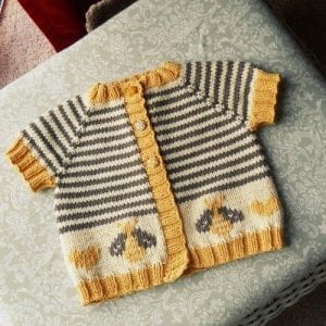 Erkek Bebek Örgü Modelleri - Resim 33