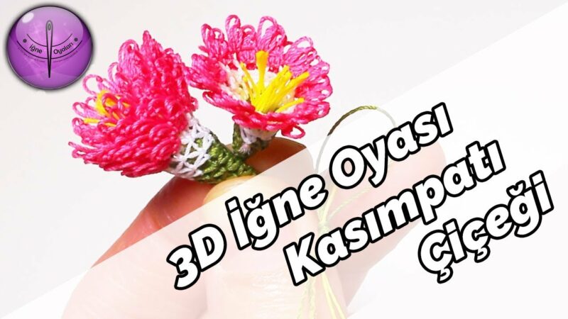 İğne Oyası Yazma Kenarı 2