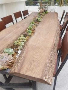 Ağaç Kütüğünde Teraryum - Resim 102
