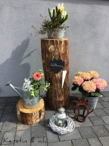 Ağaç Kütüğünde Teraryum - Resim 45