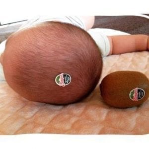 Yeni Doğan Bebek Fotoğrafları Nasıl Çekilir? - Resim 66
