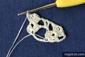 Ananas Örgü Modeli Yapılışı - Resim 3