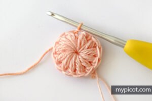 Örgü Yusufçuk Yapılışı - Resim 18