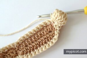 Örgü Yusufçuk Yapılışı - Resim 43