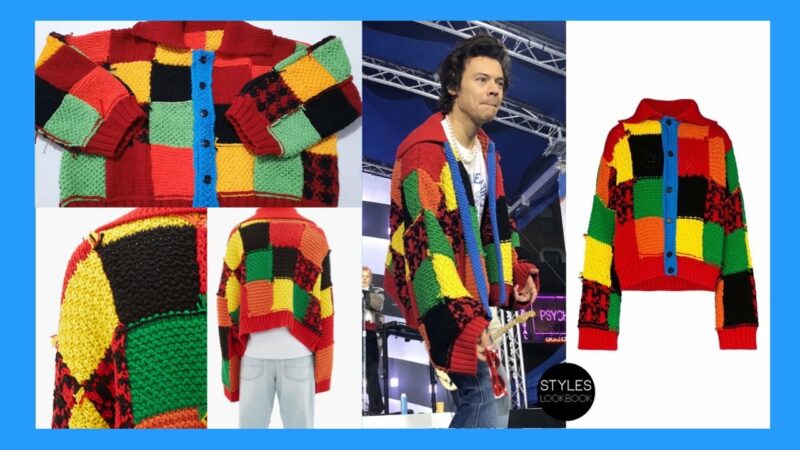 Harry Styles Hırkası 17