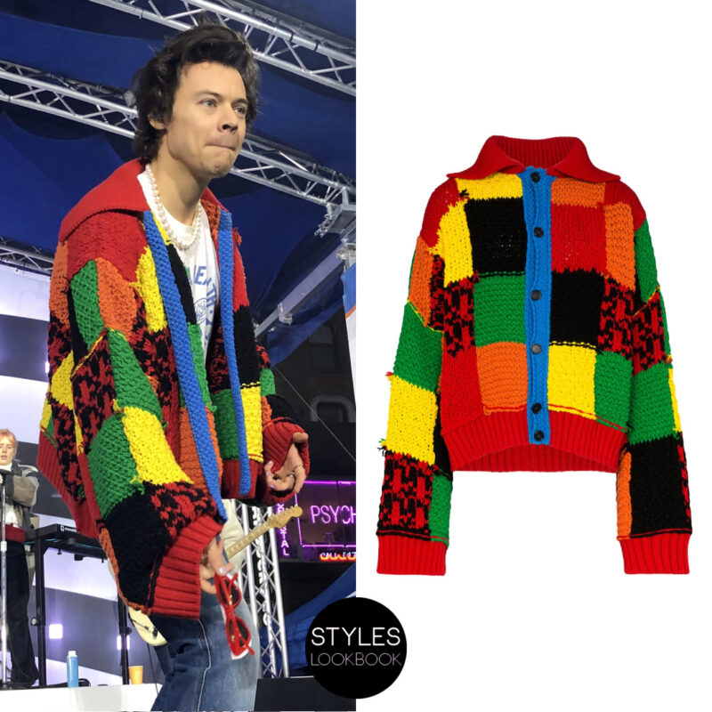 Harry Styles Hırkası 14