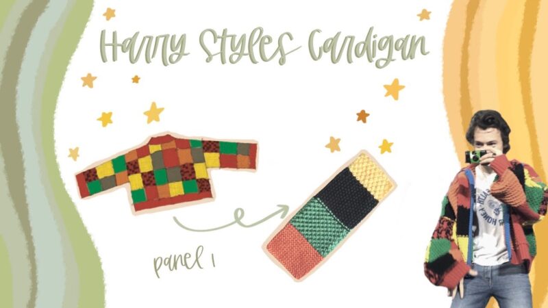 Harry Styles Hırkası 15