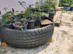 Araba Lastiği ile Bahçe Dekorasyonu - Resim 13