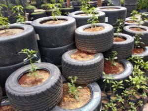 Araba Lastiği ile Bahçe Dekorasyonu - Resim 46