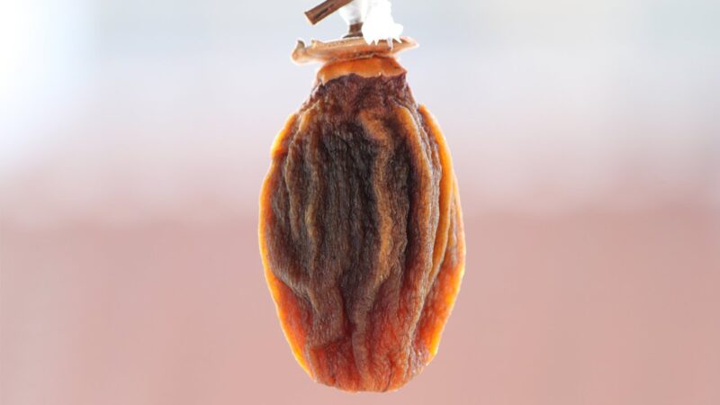 Cennet Hurması Kurusu Nasıl Yapılır? 19