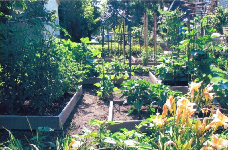 Organik Bahçecilik Fikirleri 101