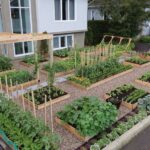 Organik Bahçecilik Fikirleri 57