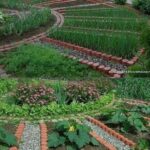 Organik Bahçecilik Fikirleri 80