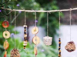 Kuş Yemliği Nasıl Yapılır? - Resim 40