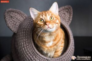 Örgü Kedi Evi Modelleri ve Yapılışı - Resim 18