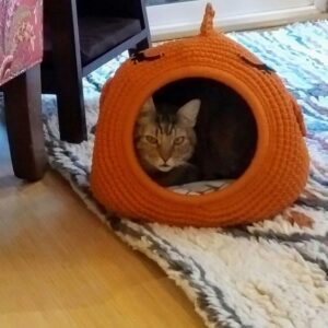 Örgü Kedi Evi Modelleri ve Yapılışı - Resim 24