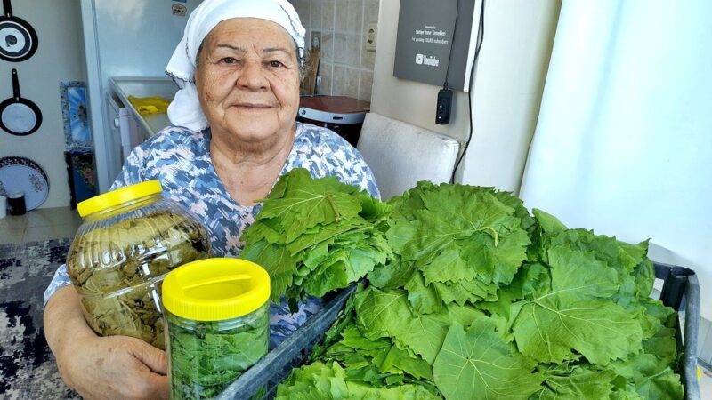 Kuru Yaprak Basma Nasıl Yapılır?