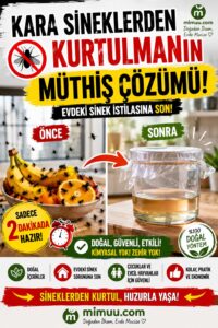 Kara Sineklerden Kurtulmak için Müthiş Çözüm 3