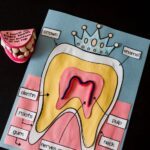 Diş Sağlığı Okul Öncesi Etkinlikleri 36