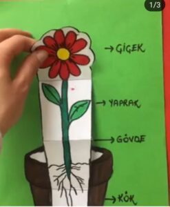 Okul Öncesi İlkbahar Etkinlikleri - Resim 66