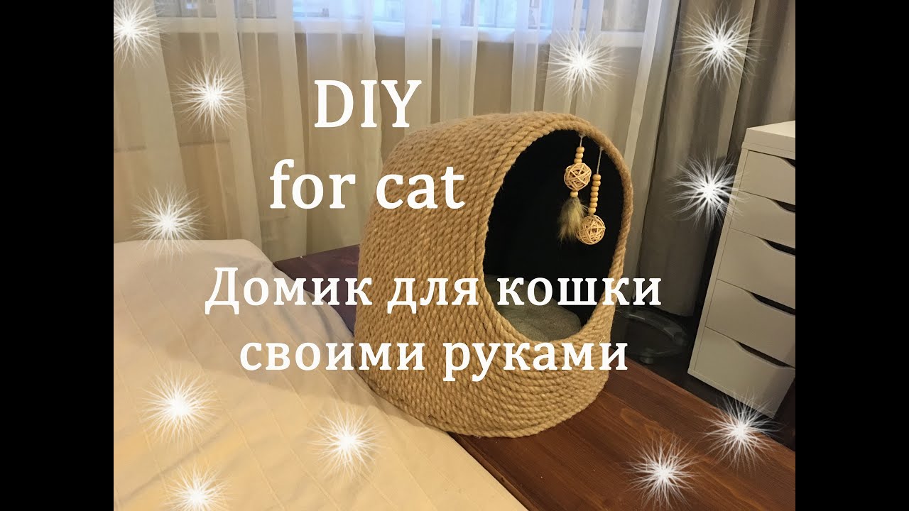 Karton Kutudan Kedi Evi Yapımı - Mimuu.com